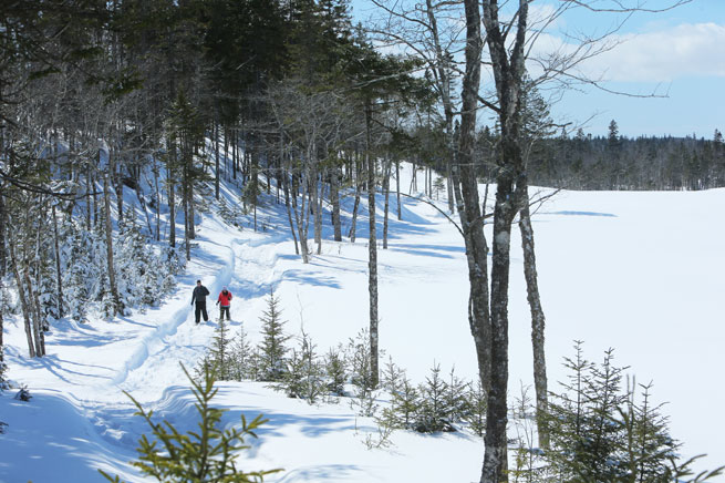 Cross Country Skiing